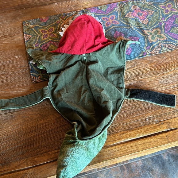 Dog T-Rex costume, medium, worn once, perfect, used condition - Picture 5 of 5